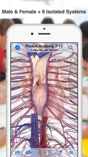 high school anatomy iphone images 3