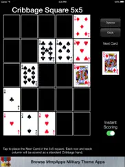 cribbage square collection ipad images 2