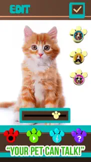+my pet can talk videos - free virtual talking animal game iphone images 1