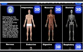 anatomy 3d organs iphone resimleri 2