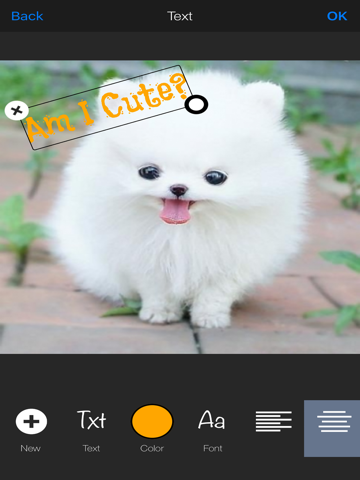 simple photo editor - best image editing with picture filter effect makeup ipad images 2