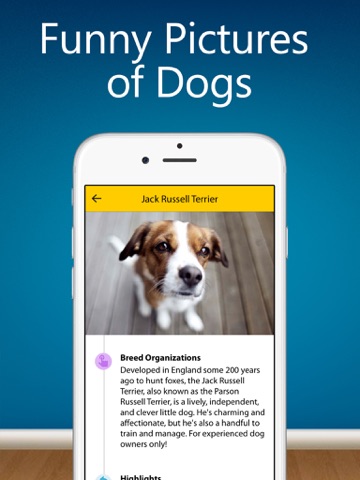 dog breeds guide - popular names, puppies photo, training video, choose guide ipad images 2