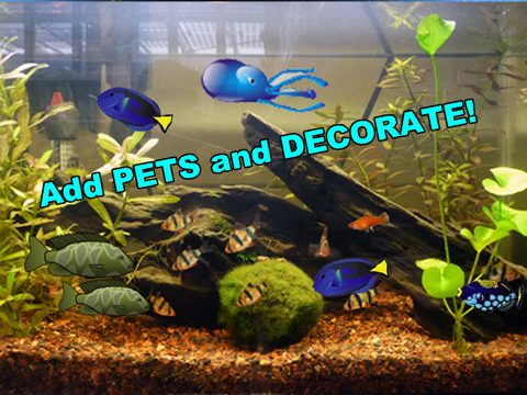 aquarium builder: my pet fish tank maker ipad images 3
