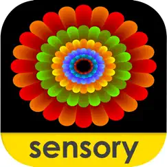 sensory coloco - symmetry painting and visual effects logo, reviews