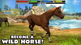 ultimate horse simulator iphone images 1