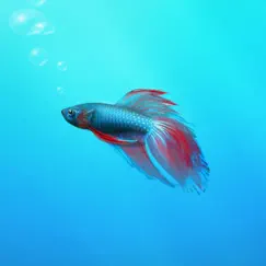 aquarium builder: my pet fish tank maker logo, reviews