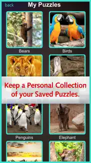 zoo jigsaw animal pro - activity learn and play iphone images 3