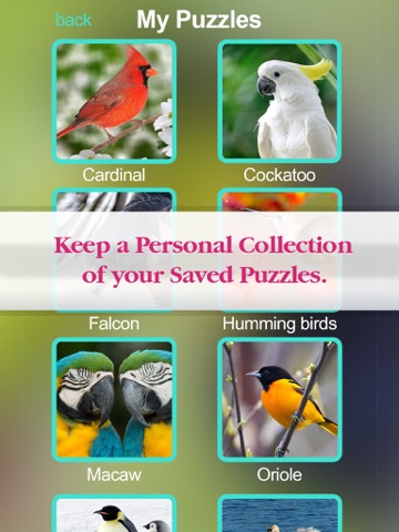 puzzles amazing jigsaw birds collection pro ipad images 3