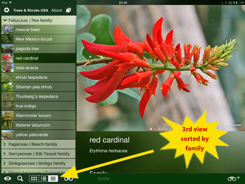 tree id usa - identify over 1000 of america's native species of trees, shrubs and bushes ipad images 4