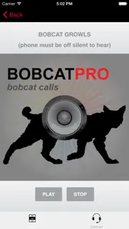 real bobcat calls - bobcat hunting - bobcat sounds iphone images 2