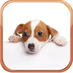 dog breeds trivia quizzes logo, reviews