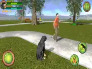rottweiler dog life simulator ipad images 2
