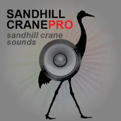 sandhill crane calls - sandhill crane hunting call logo, reviews