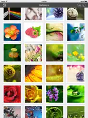 wallpaper collection macro edition ipad images 2