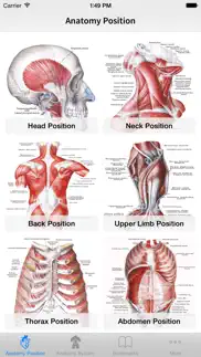 human anatomy position iphone images 2