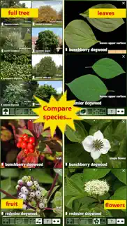 tree id canada - identify over 1000 native canadian species of trees, shrubs and bushes iphone images 4