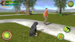 rottweiler dog life simulator iphone images 2