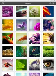 wallpaper collection macro edition ipad images 4