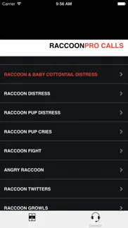 raccoon calls - raccoon hunting - raccoon sounds iphone images 1