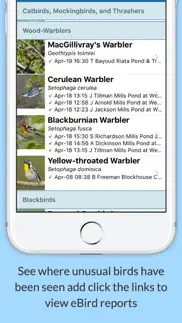 birdseye texas ornithological society iphone images 3