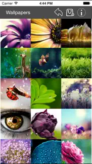 wallpaper collection macro edition iphone images 1