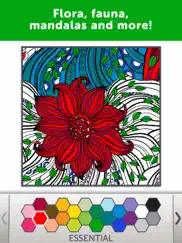adult coloring book - coloring book for adults ipad images 3