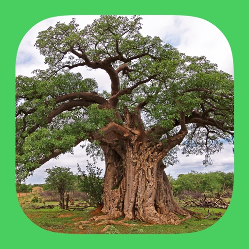 eTrees of Southern Africa app reviews download