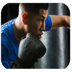 international real boxing champion game logo, reviews