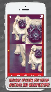 mirror reflection photo editor–blend & split pics iphone images 2