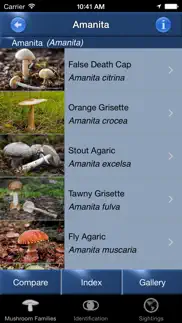 mushroom id north america iphone images 4