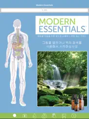 modern essentials korean айпад изображения 1