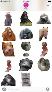 animales memes divertidos pegatinas paquete de ime iphone capturas de pantalla 2
