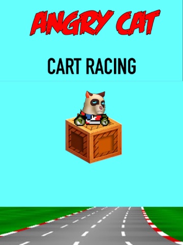 angry cat cart racing ipad images 1