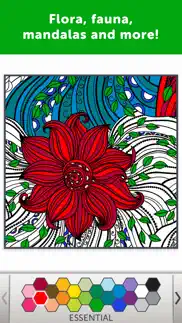 adult coloring book - coloring book for adults iphone images 3
