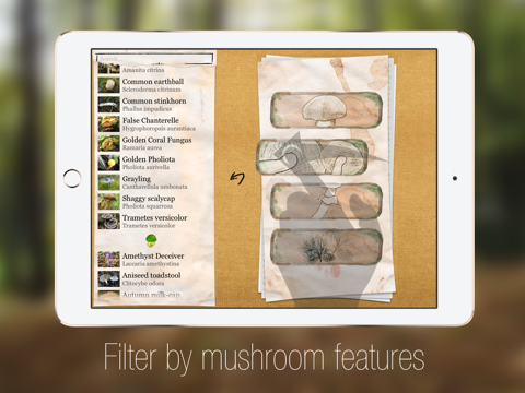 le guide des champignons pro iPad Captures Décran 3