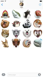 wwf vk iphone images 2