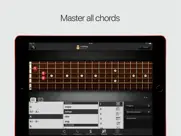 guitartoolkit - tuner, metronome, chords & scales айпад изображения 3