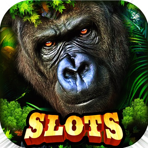 Super Fortune Gorilla Jackpot Slots Casino Machine app reviews download