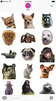 animales memes divertidos pegatinas paquete de ime iphone capturas de pantalla 1