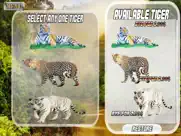 angry tiger multi player : simulator ipad images 3