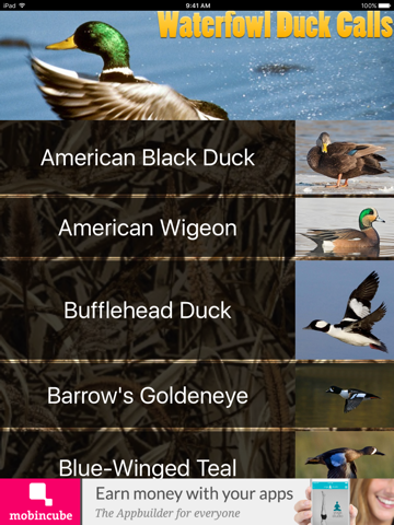 waterfowl duck calls ipad images 3
