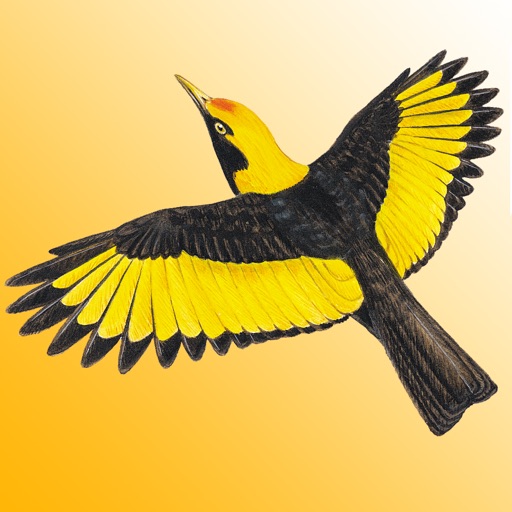 The Michael Morcombe and David Stewart eGuide to the Birds of Australia LITE app reviews download