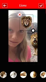 lion booth iphone capturas de pantalla 3