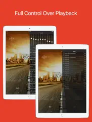 hdplayer pro - video and audio player ipad images 3