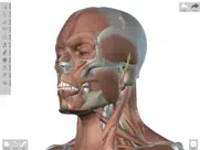 human anatomed ipad images 1