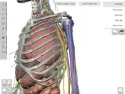 human anatomed ipad images 3
