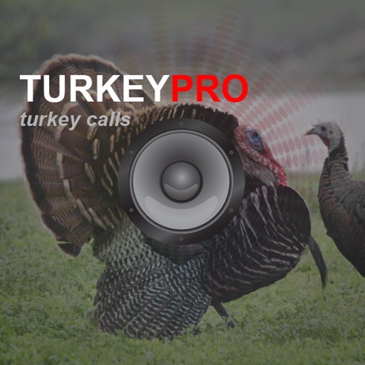 Turkey Calls - Turkey Sounds - Turkey Caller App app reviews download