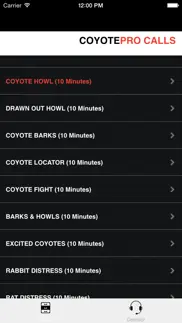 real coyote hunting calls-coyote calling-predators iphone images 1