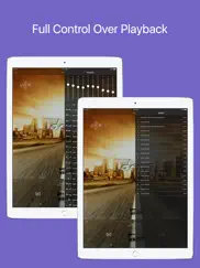 music player - player for lossless music ipad images 3