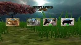 sniper bear hunting 3d iphone images 2